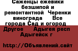 Саженцы ежевики безшипой и ремонтантной. Черенки винограда . - Все города Сад и огород » Другое   . Адыгея респ.,Адыгейск г.